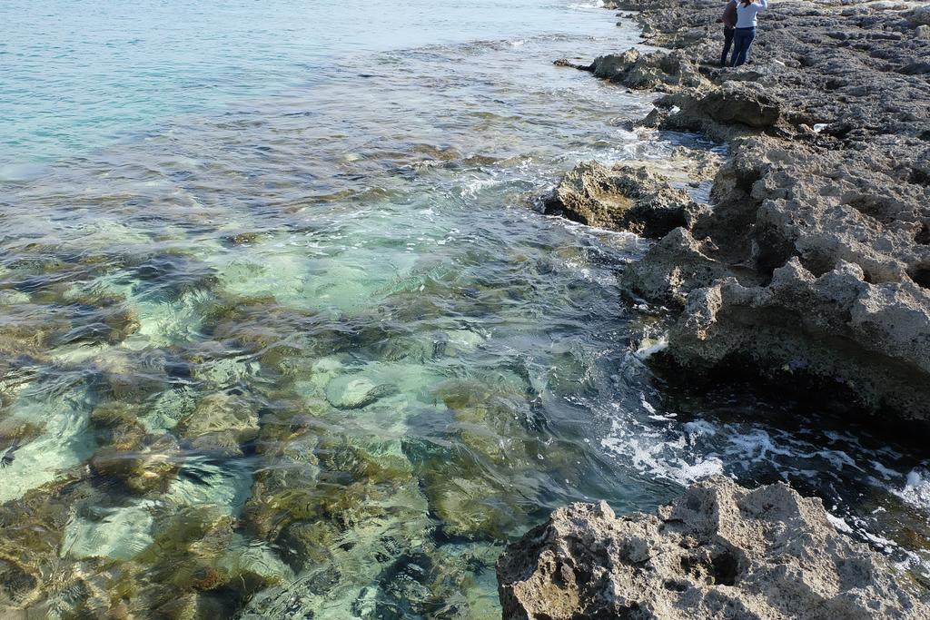 Oasi San Pio Leilighet Porto Cesareo Eksteriør bilde