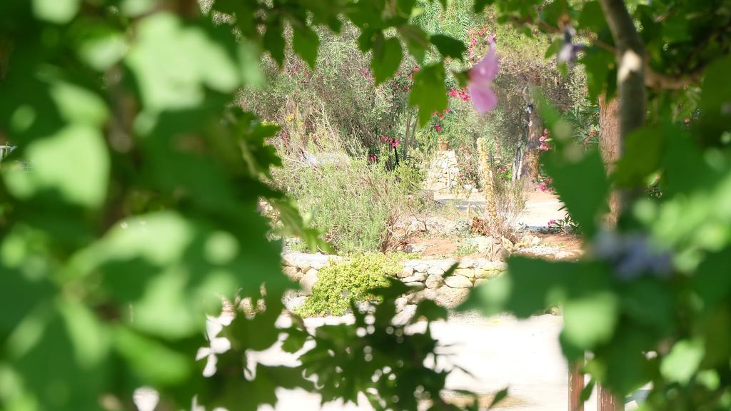 Oasi San Pio Leilighet Porto Cesareo Eksteriør bilde