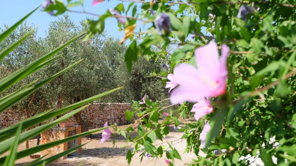 Oasi San Pio Leilighet Porto Cesareo Eksteriør bilde