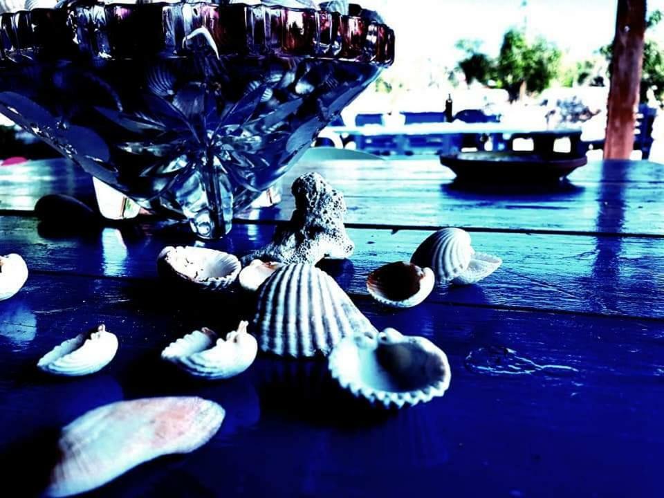 Oasi San Pio Leilighet Porto Cesareo Eksteriør bilde